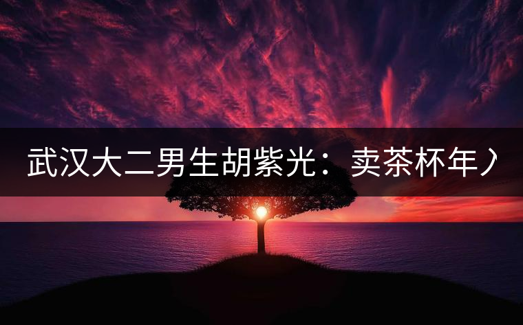 武漢大二男生胡紫光：賣茶杯年入30萬元