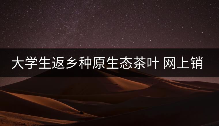 大學生返鄉(xiāng)種原生態(tài)茶葉 網(wǎng)上銷售獲好評