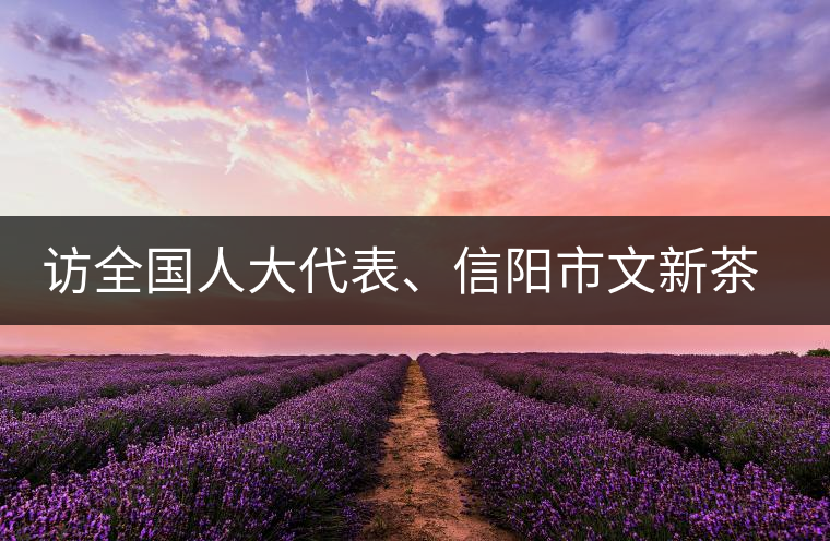 訪全國人大代表、信陽市文新茶葉有限責(zé)任公司董事長劉文新 訪全國人大代表、信陽市文新茶葉有限責(zé)任公司董事長劉文新