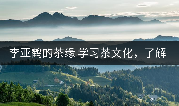 李亞鶴的茶緣 學(xué)習(xí)茶文化，了解茶文化，品味茶文化