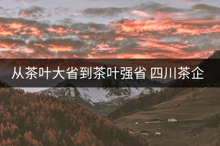 從茶葉大省到茶葉強(qiáng)省 四川茶企路在何方 從茶葉大省到茶葉強(qiáng)省 四川茶企路在何方