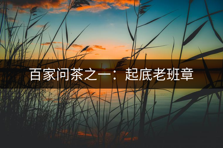 百家問茶之一：起底老班章