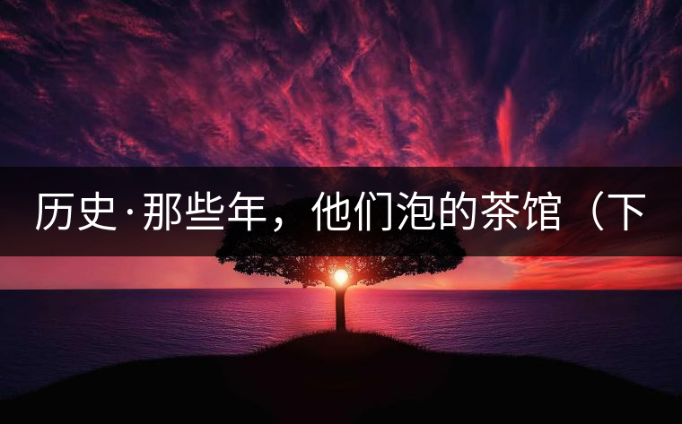 歷史·那些年，他們泡的茶館（下）