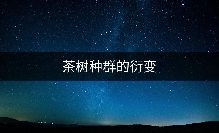 茶樹(shù)種群的衍變 茶樹(shù)種群的衍變