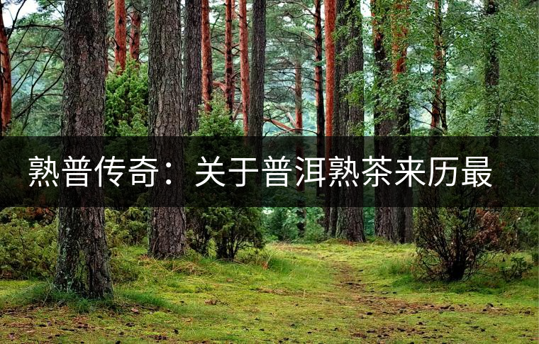 熟普傳奇:關(guān)于普洱熟茶來(lái)歷最詳細(xì)的編年史 熟普傳奇:關(guān)于普洱熟茶來(lái)歷最詳細(xì)的編年史