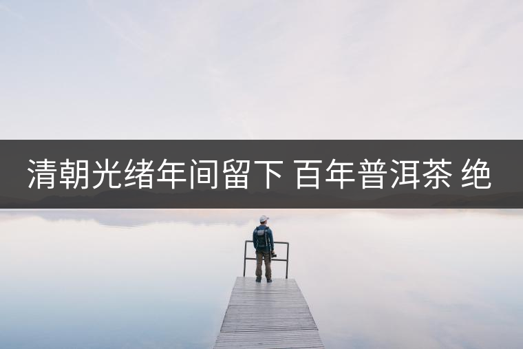 清朝光緒年間留下 百年普洱茶 絕對(duì)珍品 難得一見(jiàn) 清朝光緒年間留下 百年普洱茶 絕對(duì)珍品 難得一見(jiàn)