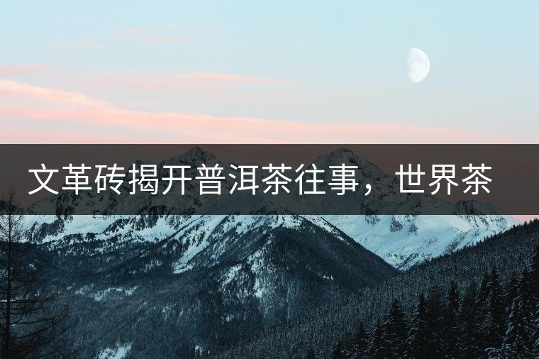 文革磚揭開普洱茶往事，世界茶文化交流協(xié)會成員共品經(jīng)典文革磚！