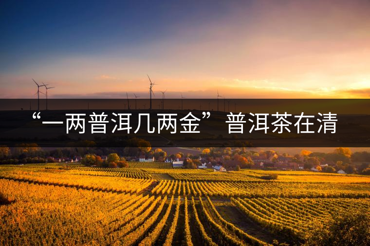 “一兩普洱幾兩金”普洱茶在清代為啥這么火？！