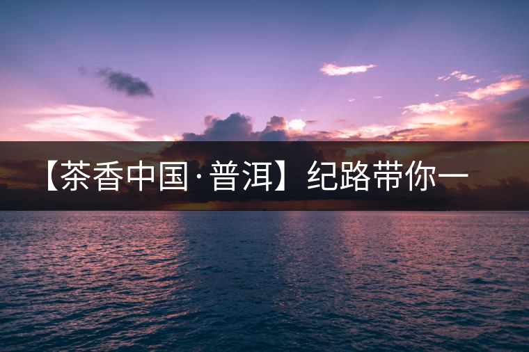 【茶香中國·普洱】紀路帶你一起走進普洱茶的前世今生