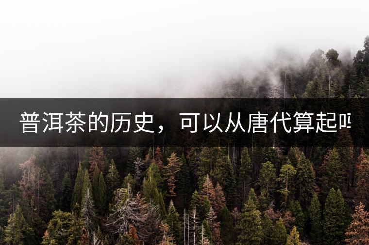 普洱茶的歷史，可以從唐代算起嗎？