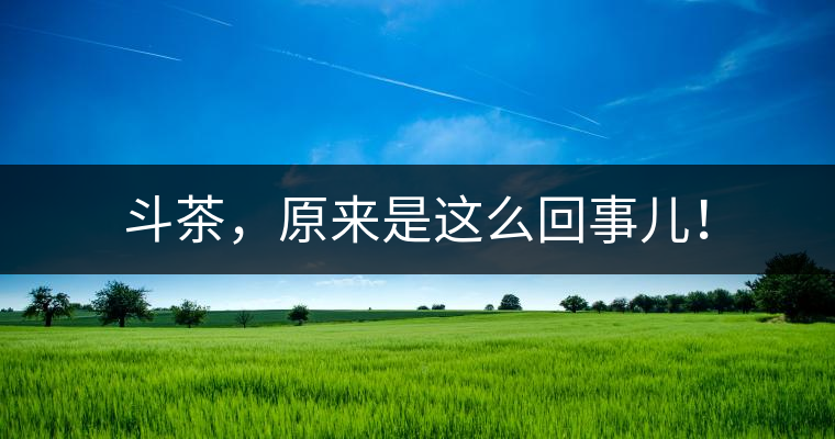 斗茶，原來是這么回事兒！