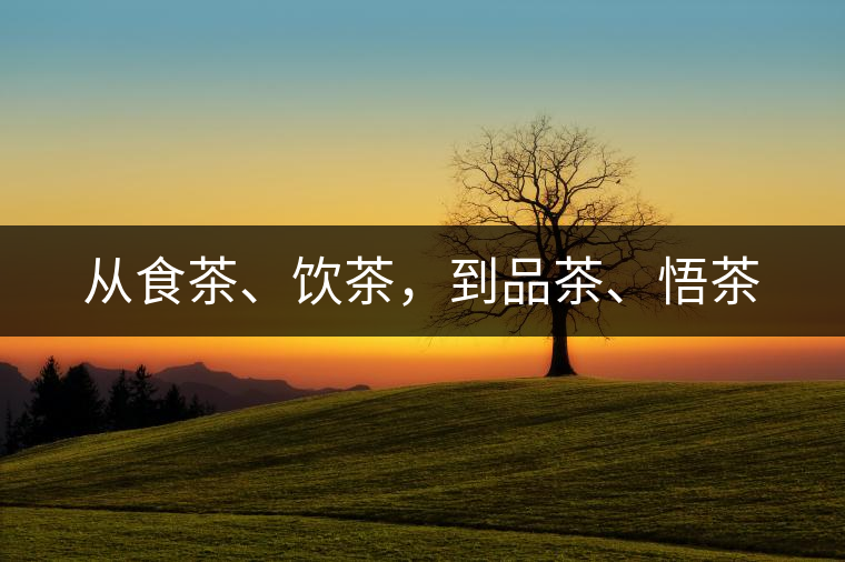 從食茶、飲茶，到品茶、悟茶