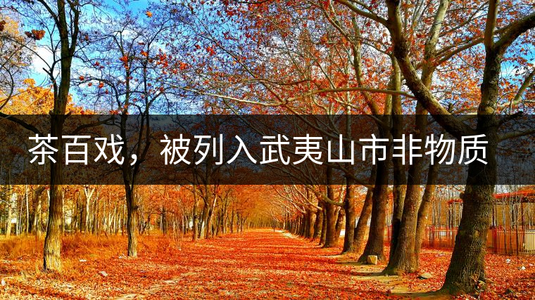 茶百戲，被列入武夷山市非物質(zhì)文化遺產(chǎn)的茶湯