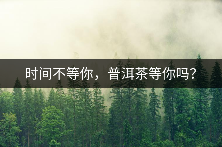 時(shí)間不等你，普洱茶等你嗎？