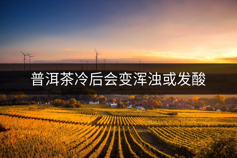 普洱茶冷后會變渾濁或發(fā)酸