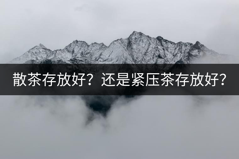 散茶存放好？還是緊壓茶存放好？