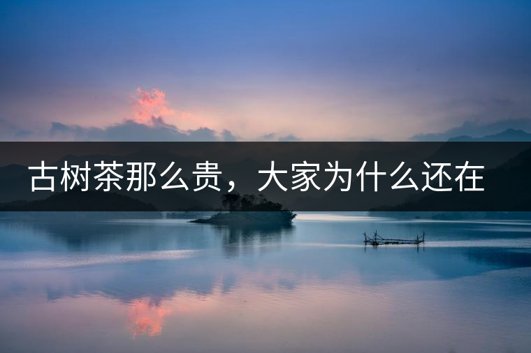 古樹茶那么貴，大家為什么還在瘋狂追求？