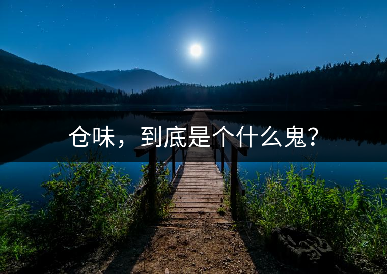 倉味，到底是個(gè)什么鬼？