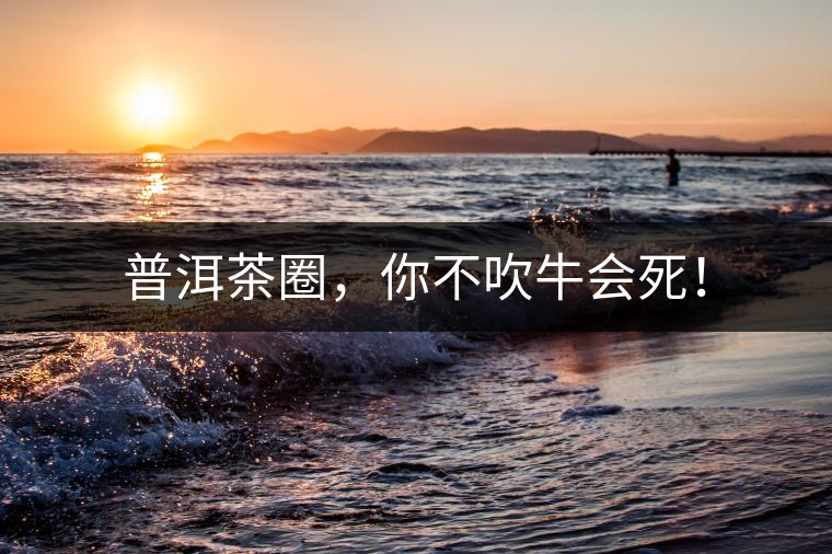 普洱茶圈，你不吹牛會(huì)死！