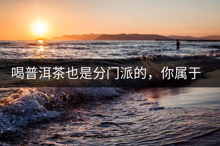 喝普洱茶也是分門派的，你屬于哪派呢？