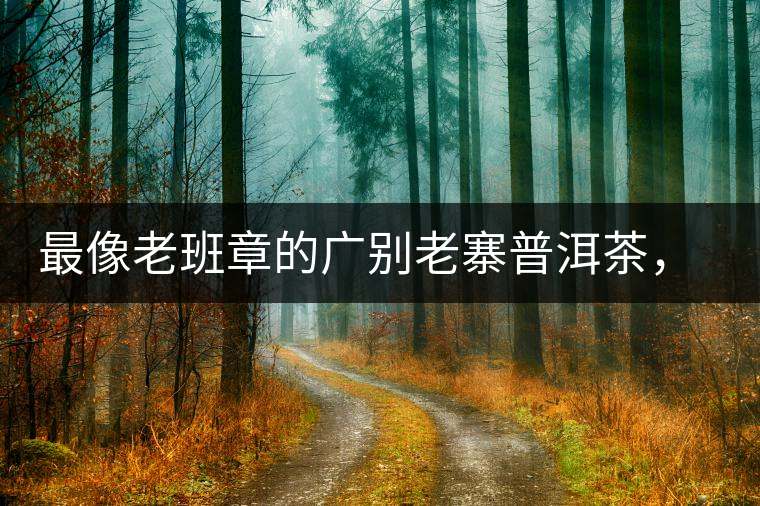 最像老班章的廣別老寨普洱茶，卻是冰島派來的臥底