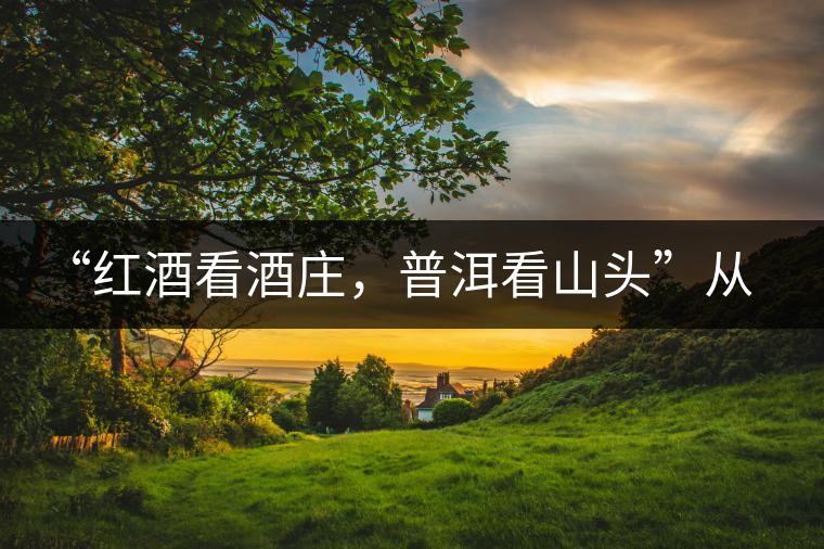 “紅酒看酒莊，普洱看山頭”從這里秒懂普洱茶的未來