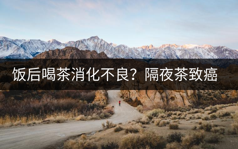 飯后喝茶消化不良？隔夜茶致癌？9個喝茶流言你該好好分個真假