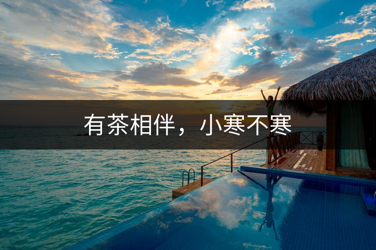 有茶相伴，小寒不寒