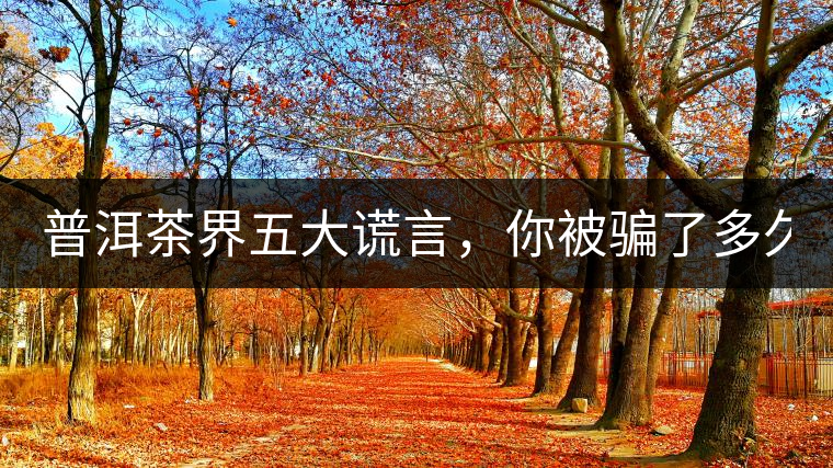 普洱茶界五大謊言，你被騙了多久？