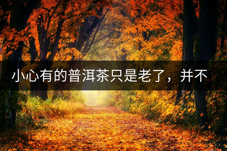 小心有的普洱茶只是老了，并不是好了