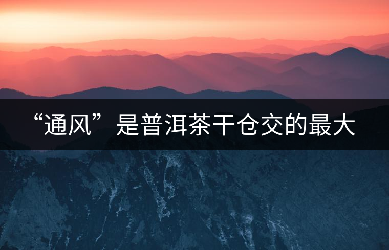 “通風(fēng)”是普洱茶干倉交的最大學(xué)費(fèi) “通風(fēng)”是普洱茶干倉交的最大學(xué)費(fèi)