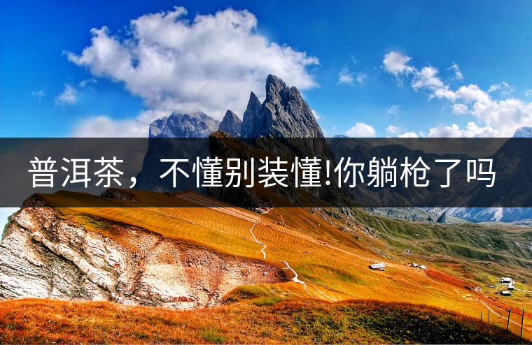 普洱茶，不懂別裝懂!你躺槍了嗎?