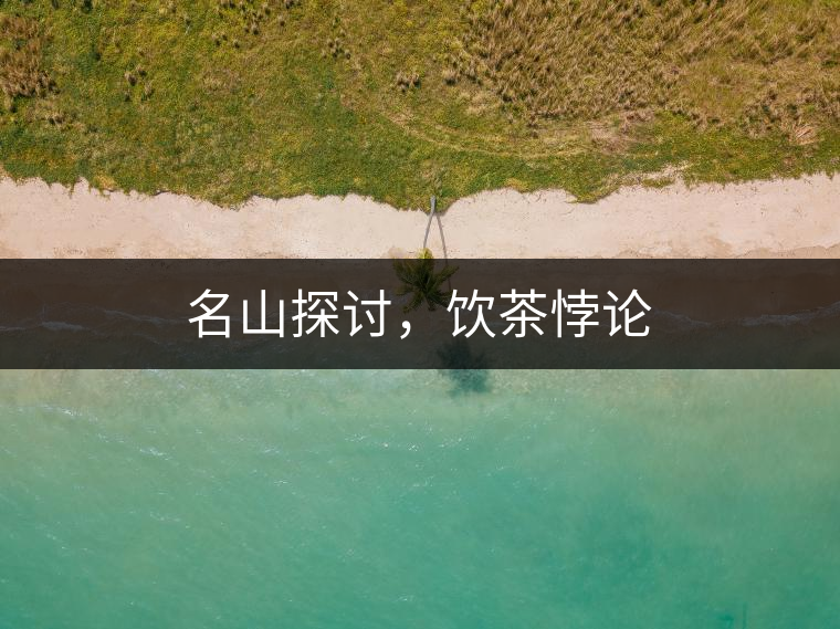 名山探討，飲茶悖論