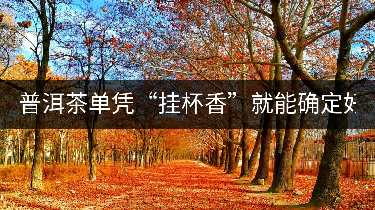 普洱茶單憑“掛杯香”就能確定好壞？you錯了！