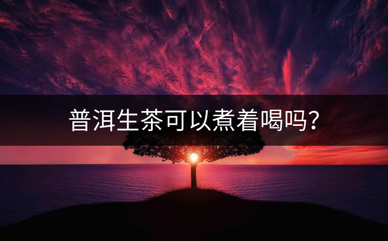 普洱生茶可以煮著喝嗎？