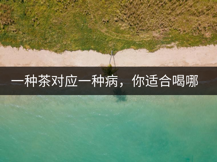 一種茶對應(yīng)一種病，你適合喝哪一種呢？