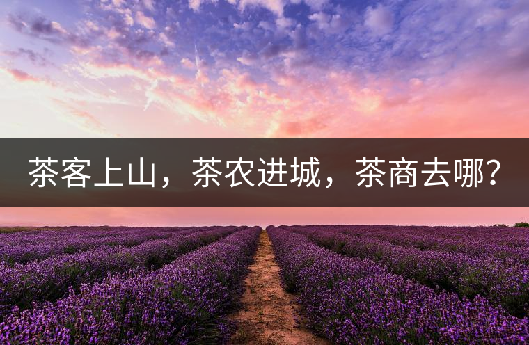 茶客上山，茶農(nóng)進(jìn)城，茶商去哪？