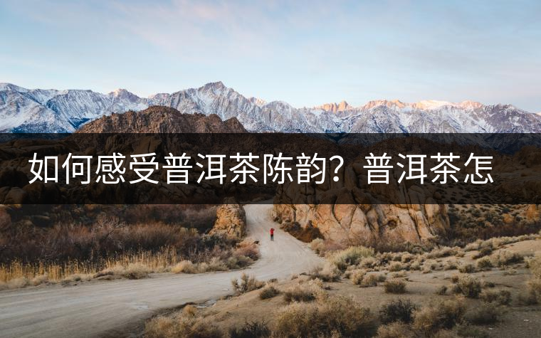 如何感受普洱茶陳韻？普洱茶怎么喝？