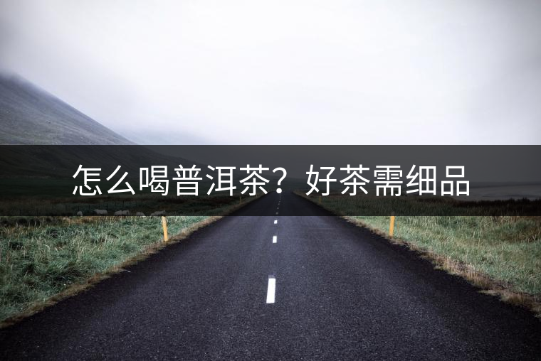 怎么喝普洱茶？好茶需細(xì)品