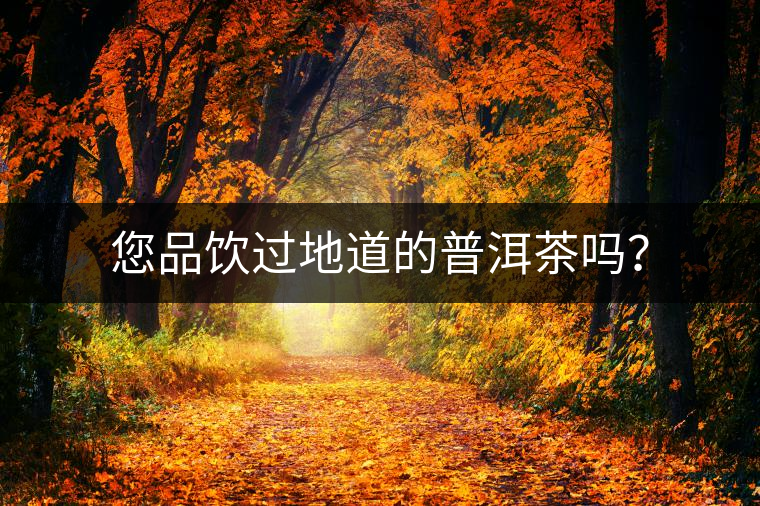 您品飲過地道的普洱茶嗎？