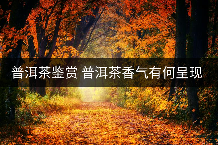 普洱茶鑒賞 普洱茶香氣有何呈現(xiàn)？