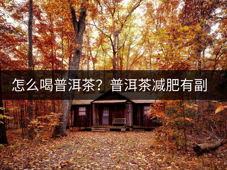 怎么喝普洱茶？普洱茶減肥有副作用嗎？