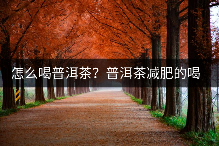 怎么喝普洱茶？普洱茶減肥的喝法