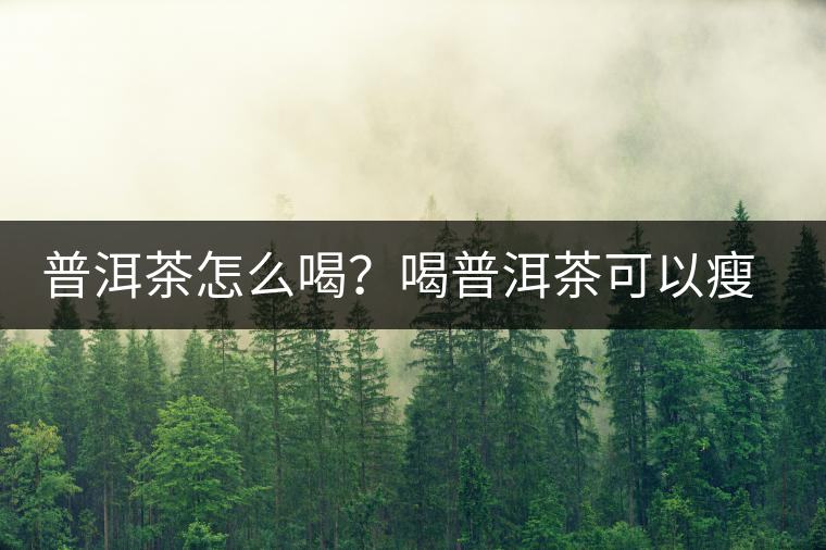 普洱茶怎么喝？喝普洱茶可以瘦腹嗎？