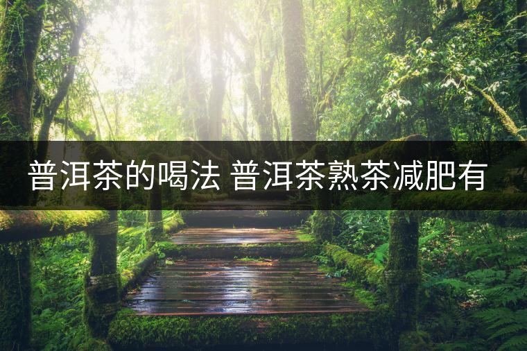 普洱茶的喝法 普洱茶熟茶減肥有什么效果嗎？