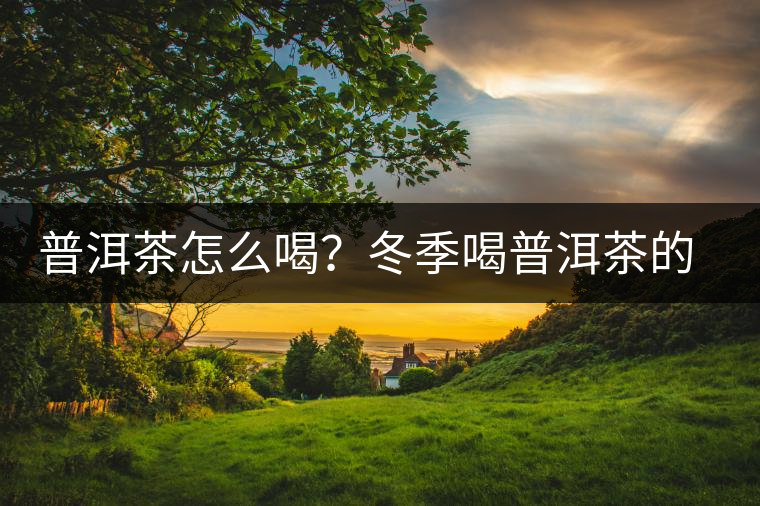 普洱茶怎么喝？冬季喝普洱茶的好處