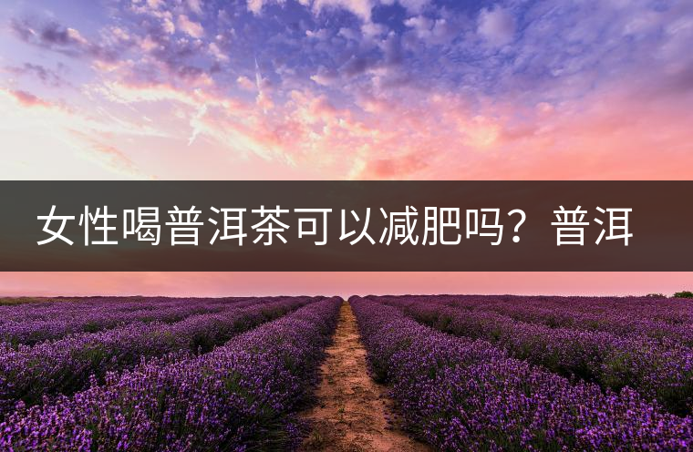 女性喝普洱茶可以減肥嗎？普洱茶的功效又有哪些呢？