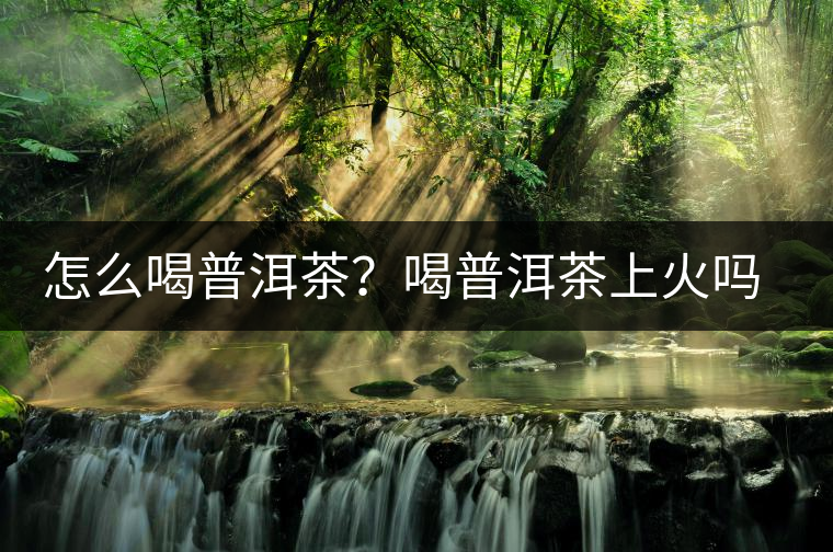 怎么喝普洱茶？喝普洱茶上火嗎？喝普洱茶會不會上火？