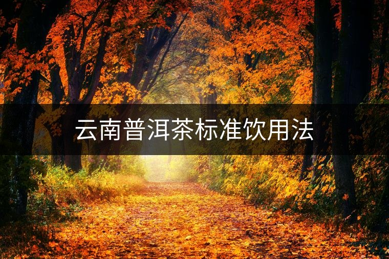 云南普洱茶標準飲用法 云南普洱茶標準飲用法