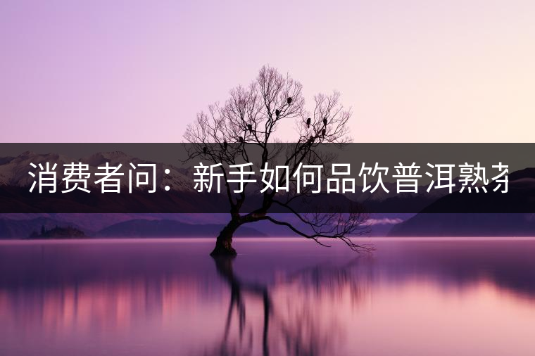 消費(fèi)者問：新手如何品飲普洱熟茶？